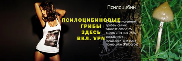 apvp Аркадак