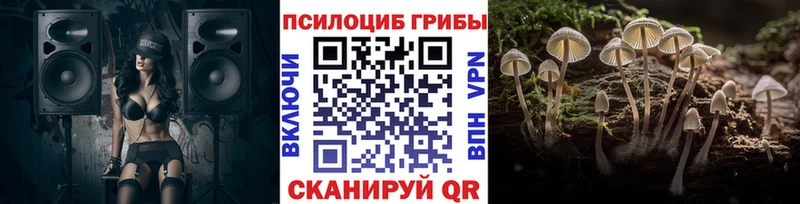 наркошоп KRAKEN ссылка shop клад Моздок Псилоцибиновые грибы Cubensis