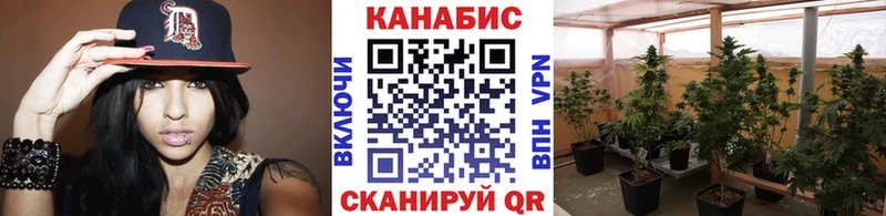 Каннабис планчик Моздок